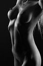 Artistiek naakt bodyscape low-key in zwartwit van Arjan Groot thumbnail