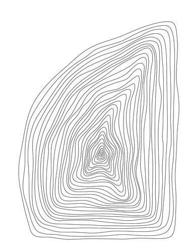Lines by Studio Miloa