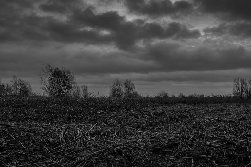 Hollands winterlandschap by Jacco van der Veen