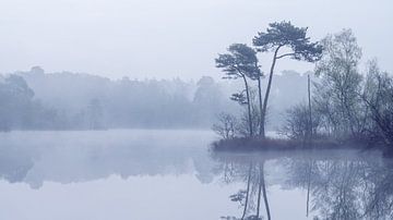 Brouillard sur la tourbière sur Paul Poot