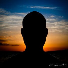 Wim Demortier Profile picture
