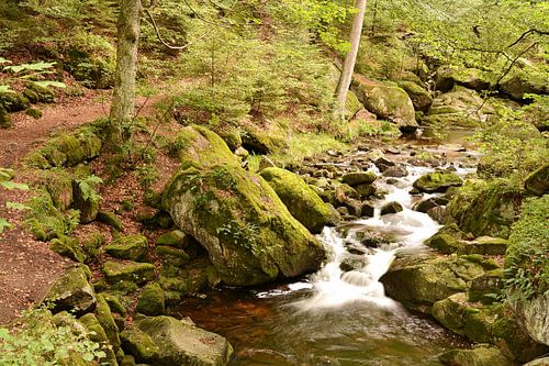 De rivier de Ilse in het Harz Nationaal Park