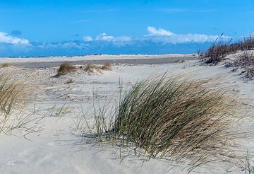 Ameland in den Dünen von Humphry Jacobs