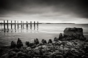 Martha's Vineyard