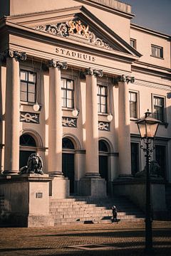 Der kleine Mann gegen die Welt von Martijn de Jong