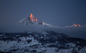 Alpenglow Bietschhorn van Menno Boermans