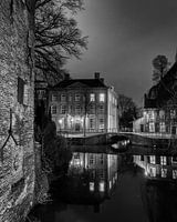 Hometown Nocturnal # 11