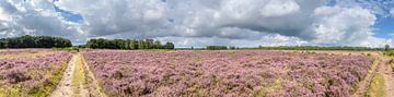 Panoramafoto Westerheide, Laren, Noord Holland, het Gooi, GNR van Martin Stevens