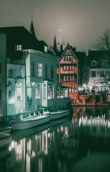 Brügge bei Nacht - Märchenhafte Atmosphäre auf den Grachten (Mystisches Grün) von Daan Duvillier | Dsquared Photography