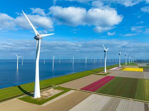 Wind turbines with tulips in agricultural fields in the background