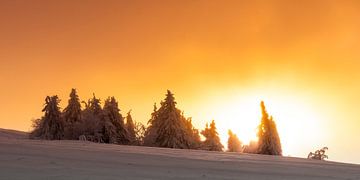 Magische avond in een winterlandschap 2 van Holger Spieker