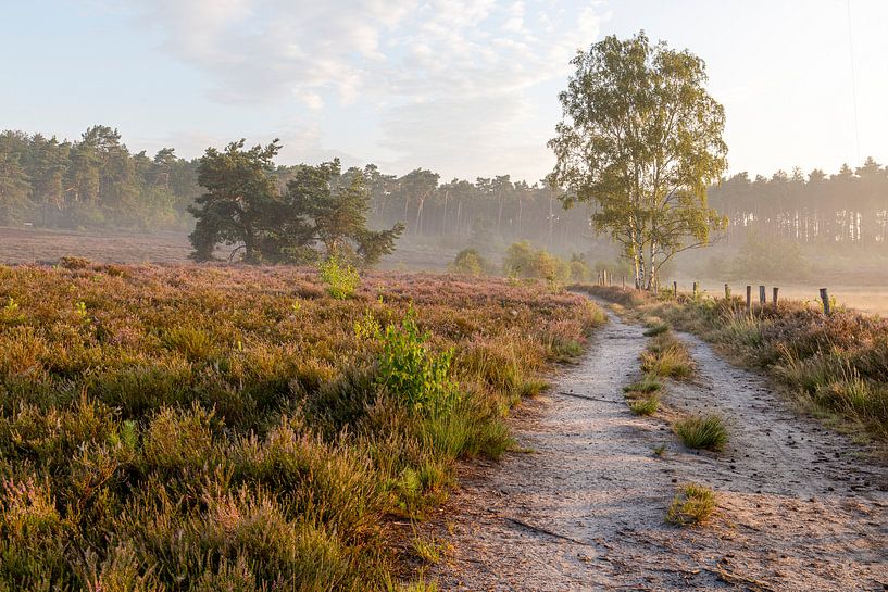 een prachtige ochtend op de heide in belgisch limburg van Fotografie Krist / Top Foto Vlaanderen