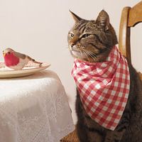 Dirkje aan tafel met servet