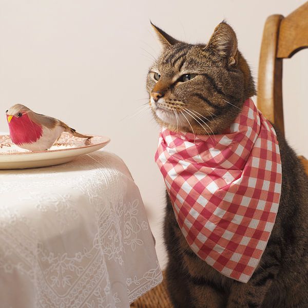 Dirkje aan tafel met servet van Jennie Schotman