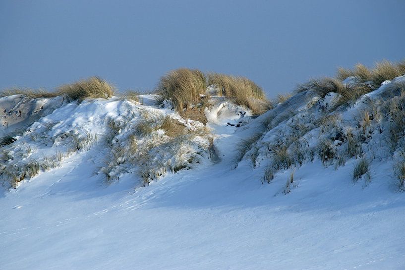 Een winters zonnetje op de besneeuwde duinen van Gert van Santen