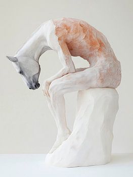 Metamorfose van de centaur - tussen mens en paard