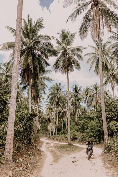 Scooterrijder tussen palmbomen van Moniek Kuipers