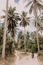 Scooterrijder tussen palmbomen van Moniek Kuipers thumbnail