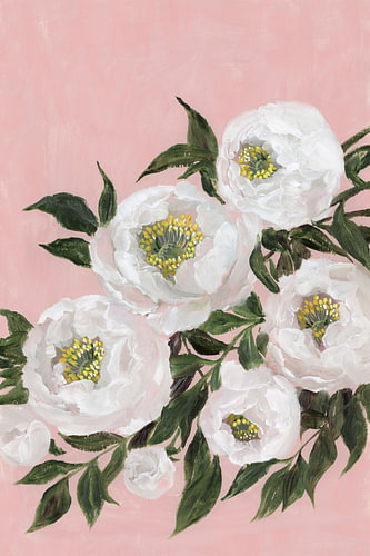 Evadne pioenrozen in roze