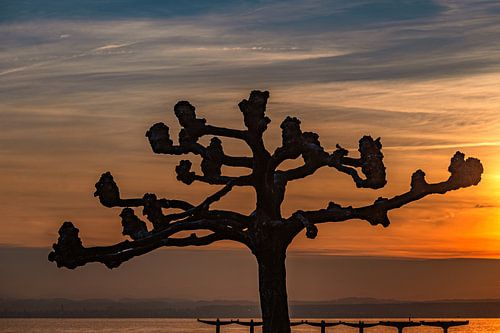 Gouden zonsondergang boven het Bodenmeer