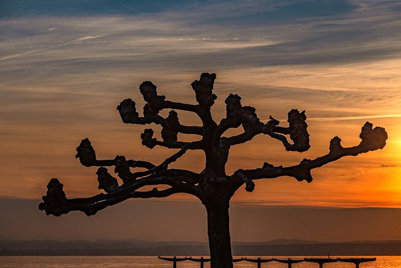 Gouden zonsondergang boven het Bodenmeer van Photoart-Naegele