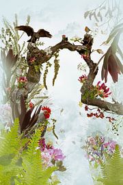 viel von Klaartje Majoor