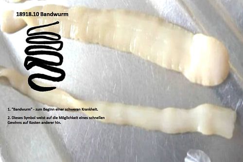 Lintworm 18918.10