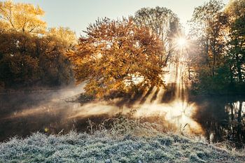 River triangle Fürth Nebel
