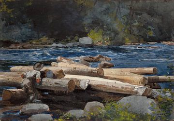Winslow Homer-Rivier Hudson
