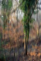 Promenade dans un paysage de rêve 02