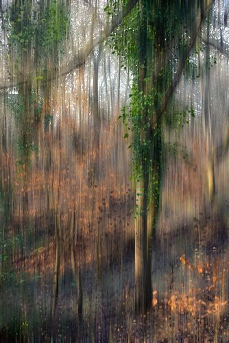 Wandeling in een droomlandschap