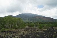 Natur etna