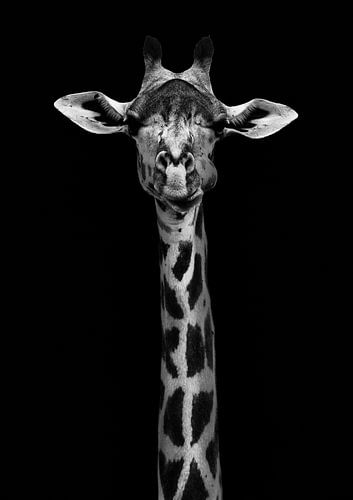 Giraffe Portret van WildPhotoArt