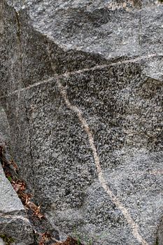 Silence in Structure - La nature suédoise à partir de détails nordiques proches 009