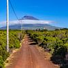 Plattelandshuis op Pico (Azoren) by Easycopters