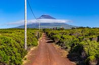 Plattelandshuis op Pico (Azoren) van Easycopters thumbnail