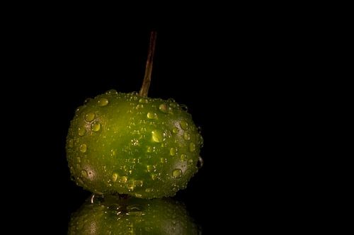 Appel. Apple, Apfel,Pomme