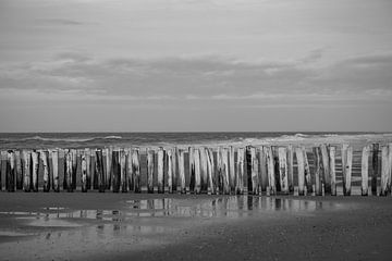 sturmbrecher vor der küste von oostkapelle von anne droogsma