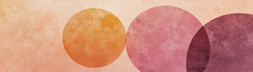 Colour circles by Modern Collection