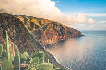Zonsondergang Ponta do Pargo op Madeira | Landschap | Reisfotografie van Daan Duvillier | Dsquared Photography