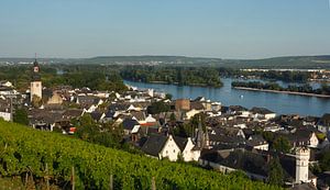 Altstadt mit Katholischer Parrkirche St. Jakobus, Rüdesheim am Rhein, Rheingau, Hessen, Deutschland