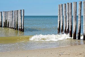 Strand mit Brandung und Pfählen im Meer