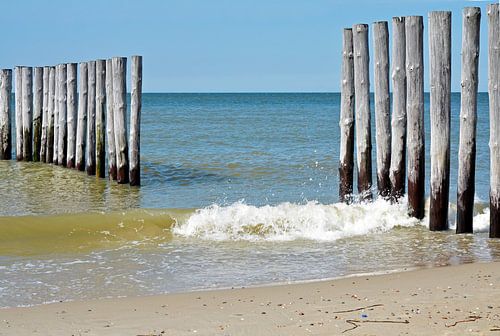 Plage avec surf et perches dans la mer