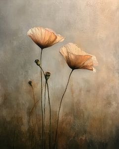 Mohnblumen im Licht