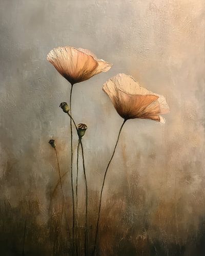 Coquelicots dans la lumière