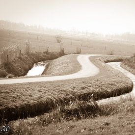 The winding road to... sur Simone van der Heide