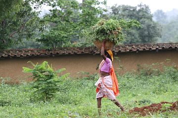 Indische Frau, die auf dem Land arbeiten von Cora Unk
