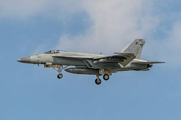 F/A-18E Super Hornet van VFA-136 Knighthawks. van Jaap van den Berg