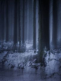 Mysteriöser Wald von Eddy Westdijk