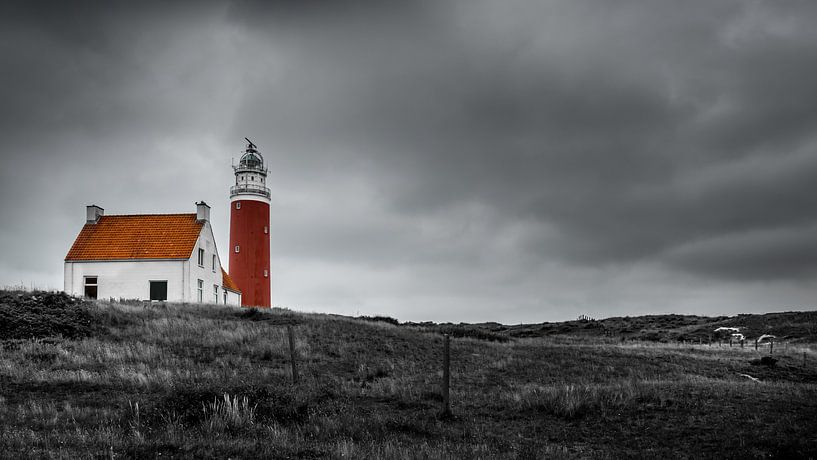 Leuchtturm Eierland auf Texel in der Nähe des Cocksdorp von Muriel Dorland